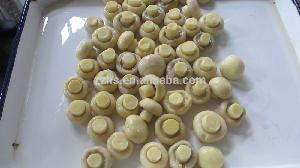 Canned Whole Button Mushroom Brazil Canned Food