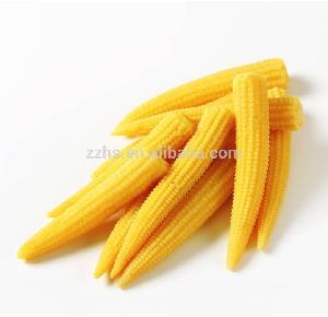 HALAL Products Baby Corn Processing Canned Baby Corn in Glass Jars Canned Vegetable