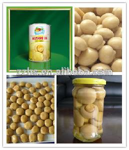 Mushroom Manufacturing Canned Mushroom P n S Buyers for Oyster Mushrooms
