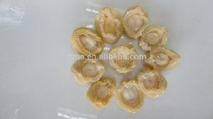 Canned Abalone in Bine in Tins Protein- Rich Abalone White