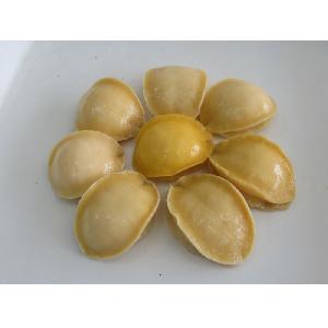 Canned  Abalone in Bine in Tins  Protein -  Rich  and Delicious Abalone