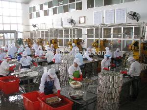 Mushroom in Brine Button Mushroom Cultivation Canned Food Factories