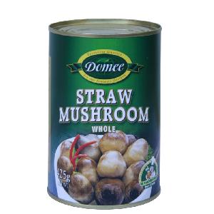 Tinned Mushroom Canned straw mushroom Hot Sale Straw Mushroom Season