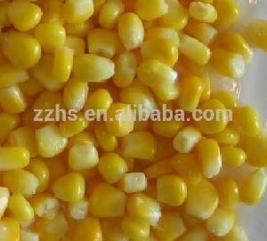 Canned Food Factories Sweet Corn Kernels Canned HALAL Products