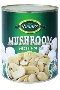 Mushroom Manufacturing Champignon Mushrooms In Tins Oyster Mushrooms