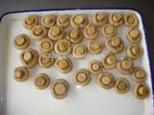 Canned Champignons Whole Mushrooms Manufacturer