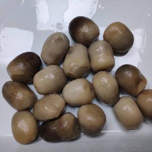 Canned Straw Mushroom Whole in Can