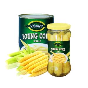 Canned Corn Ingredients Tinned Baby Corn A10 Glass Jar