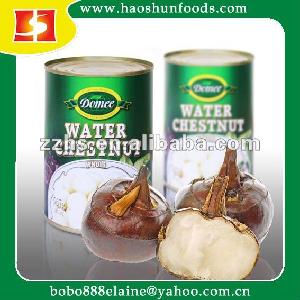 Canned  Fresh   Water   Chestnut  In  Water 