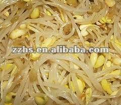 canned soya bean sprouts
