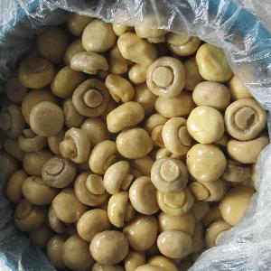  Canned   Mushroom   Whole  in  Brine 