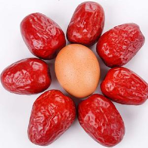 Chinese red dates / red jujube / dates