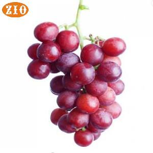 Ice Cream Flavours Manufacturer Grape Flavour Essence