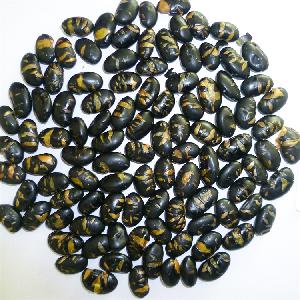Hot sale green organic hot sales and good taste organic roasted black bean