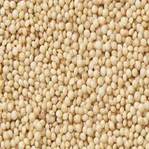 Quality Amaranth Seeds