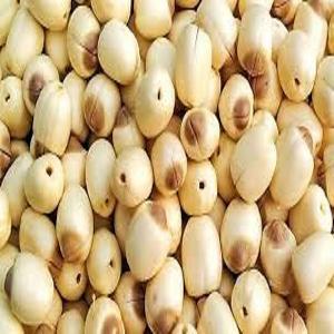 Fox Nut
