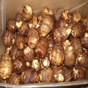 Fresh Taro