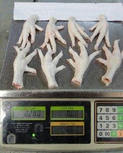Frozen Chicken Feet and Paws from Brazil