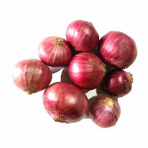 Fresh Onions
