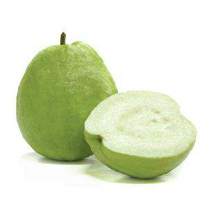  fresh   guava 