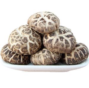 Fresh / Dried Shiitake Mushroom