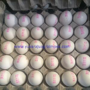 White Chicken Egg Supplier To Maldives/Singapore/Yemen/Syria/Israel