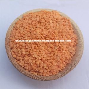 Light  Red  Color  Split   Red   Lentils  Exporters in India to African Sectors