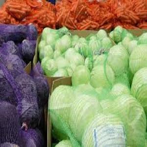 Fresh Indian Vegetables Cabbage Exporters In India To Malaysia/Canada/Singapore