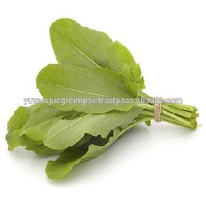 Fresh Sorrel Leaf Exporters In India To US / UK / UAE / Australia / Canada