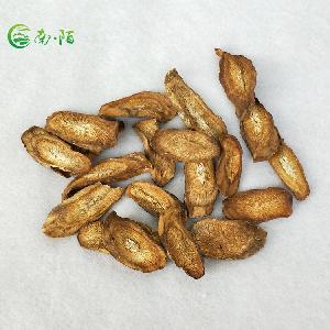 Herbal medicine natural arctium lappa dried burdock root price