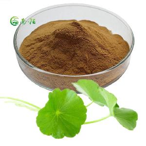 Wholesale Gotu Kola Centella Asiatica Extract