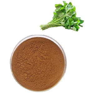 Natural and Healthy Herb Centella Asiatica  Pure Extract Powder