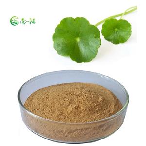 Raw Material For Medicine Production Gotu Kola Leaf 100% Asiaticoside Powdered Extract