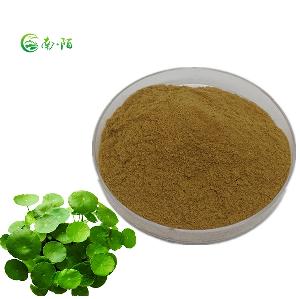 Healthy and Medical Herb  Gotu Kola Extract Powder
