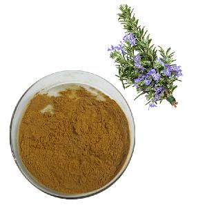 Chinese Dried Herbs Carnosic Acid Ursolic Acid Rosmarinic Acid from Rosemary Extract