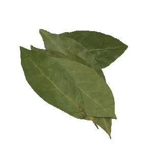 100% natural dried  Chinese Herb Zanthoxylum nitidum