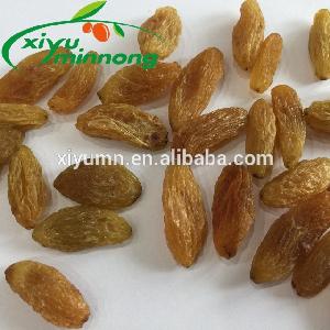 Premium quality golden raisins export supplier