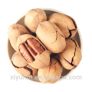 raw/ roasted  baked  salted  pecan  nuts  with shell