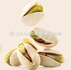 Pistachio nuts Roasted and Salted Primary Natural color with premium quality in bulk for sale