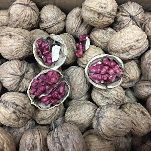 red walnuts new crops from chinese walnut factory