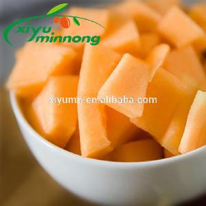 Xinjiang Honey Melon with sweet flavor wholesale