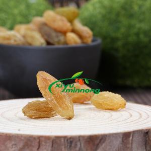 for importers bulk cheap  raisins  price selected dried  Jumbo   golden   raisins  from China