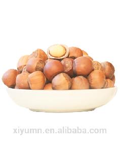 Organic nuts in shell high quality hazelnut