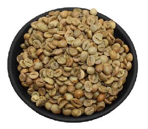High Altitude Fine Robusta Green Coffee Beans in New Price