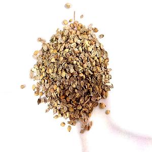 Premium Quality Indian Coriander Seeds (Coriandrum sativum L.)