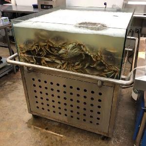 Dingfeng customized supermarket or restaurant SS chiller live dungeness crab bottom oxygen aquarium