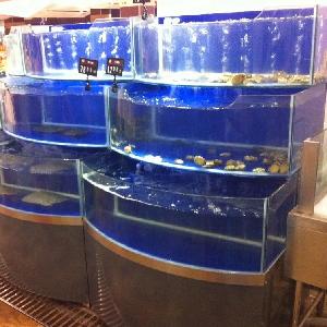 Dingfeng customized supermarket or restaurant temperature control chiller or heater live catfish tilapia cat fish aquarium