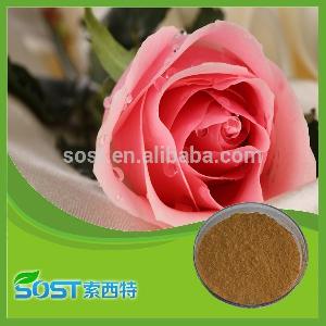 Pure natural and hot sale rose extract rose petal powder with best quality
