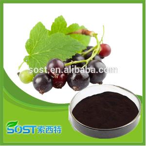 best selling products blackcurrant powder