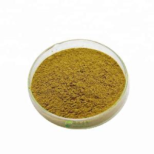 Chinese New Products organic parsley powder coriander caraway Coriandrum sativum L